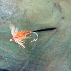Fly 1